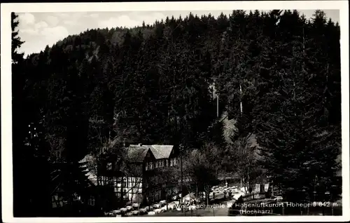 Ak Hohegeiß Braunlage im Oberharz, Wolfsbachmühle, Wald, Berge