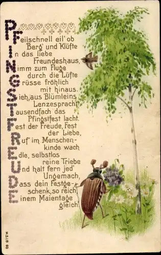Präge Ak Glückwunsch Pfingsten, Maikäfer, Gedicht, Akrostichon