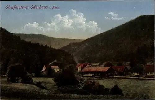 Ak Oderhaus St. Andreasberg Braunlage, Blick auf die Oberförsterei, Berge,Wälder