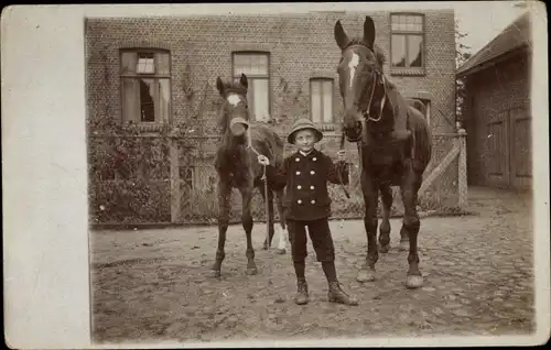 Foto Ak Junge mit zwei Pferden, Fohlen