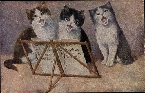 Künstler Ak Drei Hauskatzen, Kätzchen, Katzenmusik