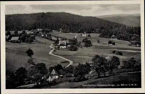 Ak Schellerhau Altenberg im Erzgebirge, Panorama vom Ort, Wiesen, Wald, Häuser