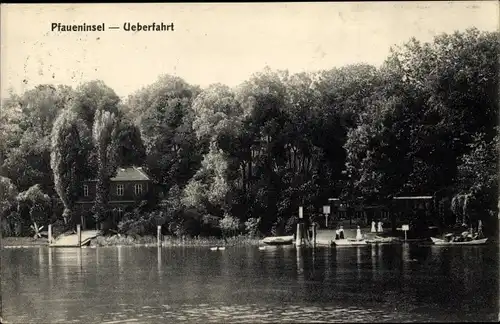 Ak Berlin Zehlendorf Wannsee, Seeufer, Pfaueninsel, Überfahrt, Fähranleger, Bäume