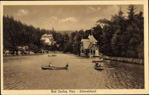 Ak Bad Sachsa in Niedersachsen, Schmelzteich 