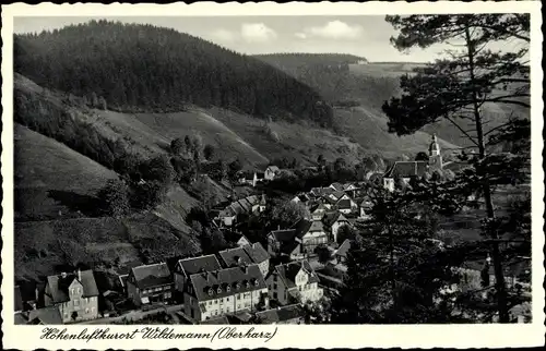 Ak Wildemann Clausthal Zellerfeld im Oberharz, Ortsansicht 