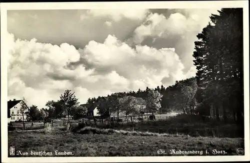 Ak St. Andreasberg Braunlage im Harz, Sonnenberger Wegehaus 