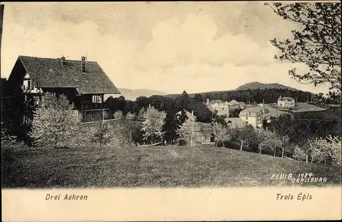 Ak Trois Épis Drei Ähren Elsaß Elsass Haut Rhin, Panorama vom Ort