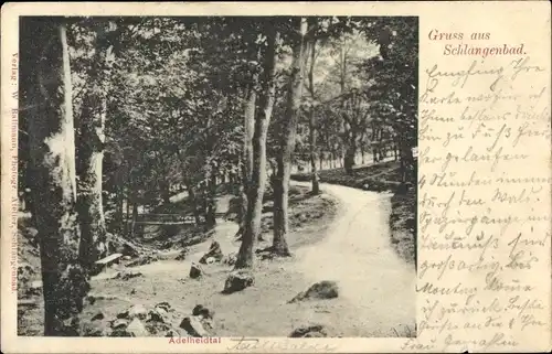 Ak Schlangenbad im Taunus Hessen, Adelheidtal