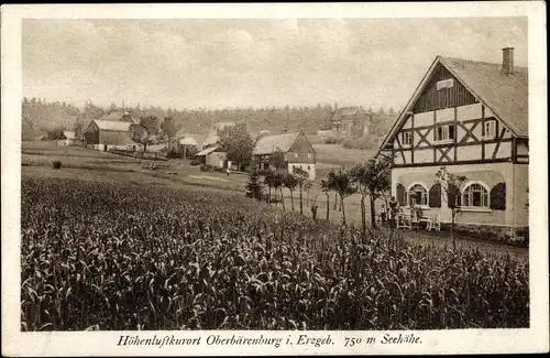 Ak Bärenburg Altenberg im Erzgebirge, Teilansicht vom Ort, Fachwerkhaus, Feld