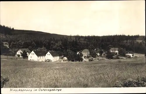 Ak Hirschsprung Altenberg im Erzgebirge, Teilansicht vom Ort, Wiese, Wald