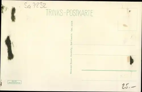 Ak Bad Lausick in Sachsen, Badstraße 