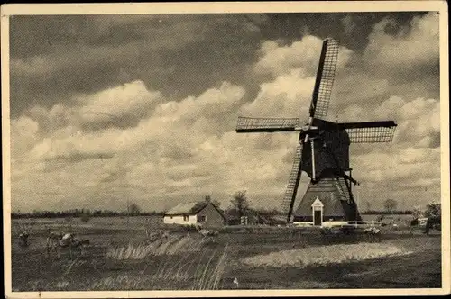 Ak Windmühle, Landschaftsidylle
