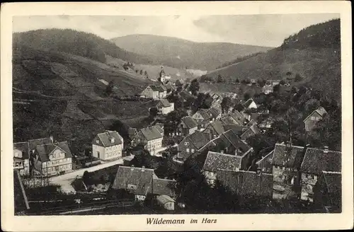 Ak Wildemann Clausthal Zellerfeld im Oberharz, Panorama vom Ort