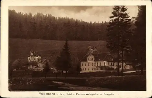 Ak Wildemann Clausthal Zellerfeld im Oberharz, Hotel u. Pension Waldgarten