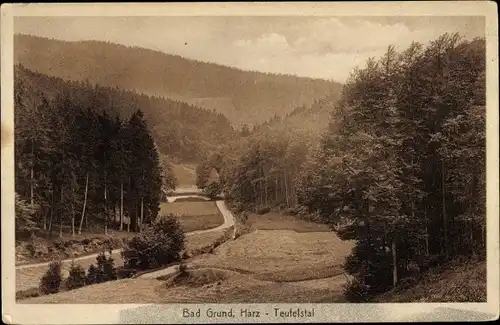 Ak Bad Grund im Harz, Teufelstal, Feldweg, Wald