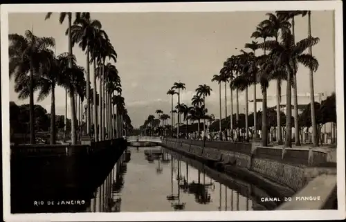 Foto Ak Rio de Janeiro Brasilien, Canal do Mangue, Palmen