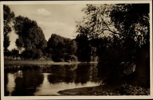 Ak Rheinfelden in Baden Württemberg, Altrheinpartie, Mündung, Kleinfeldbach, Bäume