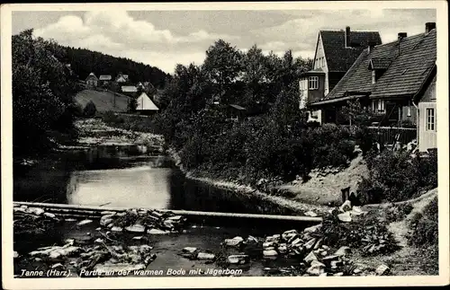 Ak Tanne Oberharz am Brocken, Partie an der warmen Bode mit Jägerborn