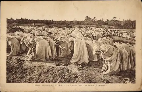 Ak Scenes et Types, la grande prière au desert, 2eme phase, Araber beim Gebet, Maghreb