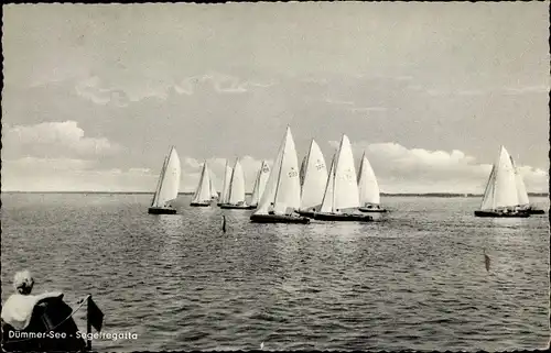 Ak Lemförde am Dümmersee Niedersachsen, Blick auf die Segelregatta