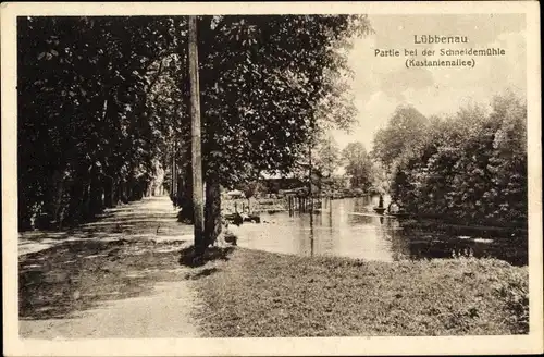 Ak Lübbenau im Spreewald, Schneidermühle, Kastanienallee