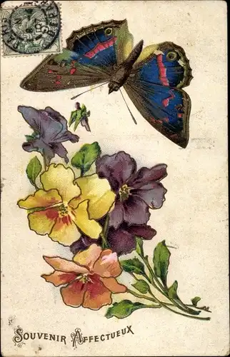 Litho Souvenir Affectueux, Schmetterling, Stiefmütterchen