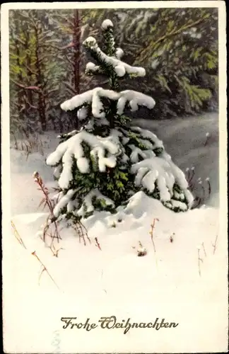 Ak Frohe Weihnachten, Tannenbaum, Winter, Schnee