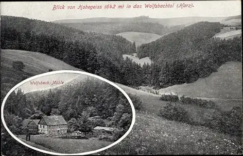 Ak Hohegeiß Braunlage im Oberharz, Blick in das Wolfsbachtal 