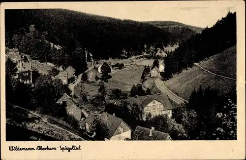 Ak Wildemann Clausthal Zellerfeld im Oberharz, Spiegeltal 
