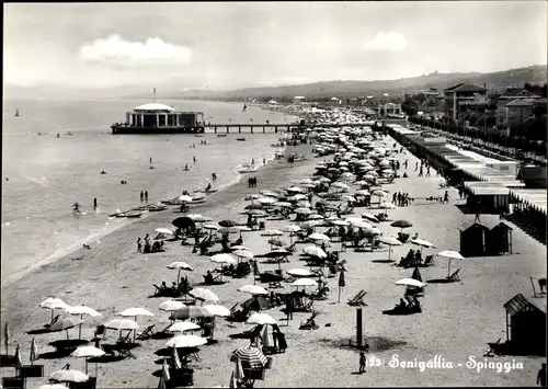 Ak Senigallia Marche, Spiaggia, Strandpartie