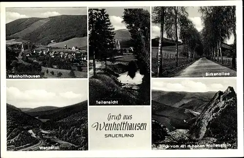 Ak Wenholthausen Eslohe im Sauerland, Teilansicht vom Ort, Wennetal, Birkenallee, Wallenstein