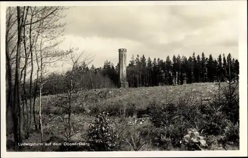 Ak Dannenfels in Rheinland Pfalz, Donnersberg, Ludwigsturm, Außenansicht, Wald