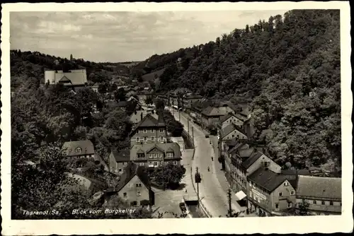 Ak Tharandt im Erzgebirge, Ortsansicht vom Burgkeller 