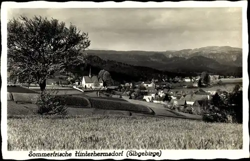 Ak Hinterhermsdorf Sebnitz, Blick auf den Ort, Kirche, Felder