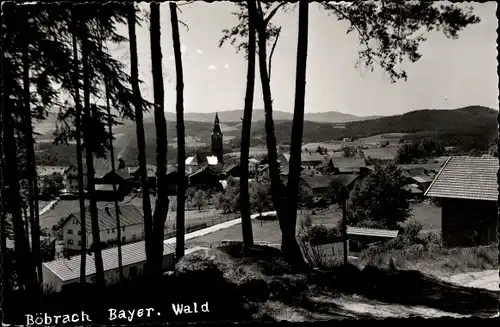 Ak Böbrach im Bayerischen Wald Niederbayern, Teilansicht