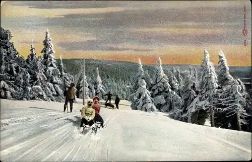 Ak Rodelbahn, Schlittenfahrer, Winterlandschaft, verschneiter Wald