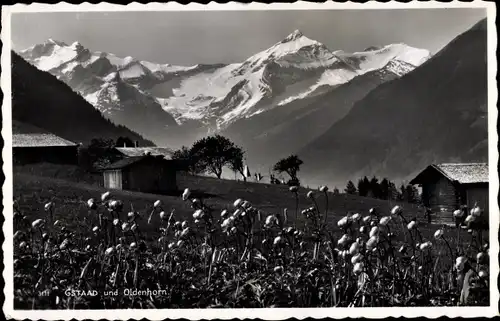 Ak Gstaad Saanen Kt. Bern Schweiz, Oldenhorn, Landschaftspanorama