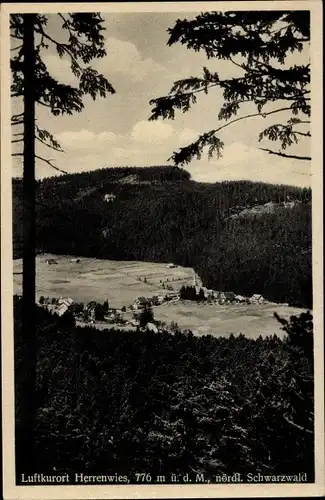 Ak Herrenwies Forbach im Schwarzwald Baden, Ortsansicht