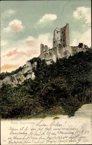 Ak Königswinter am Rhein, Ruine Drachenfels, Totalansicht, Gebüsch