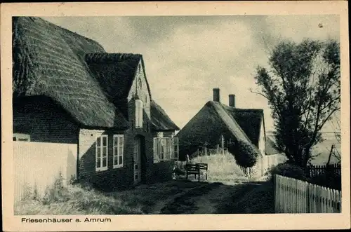 Ak Insel Amrum in Nordfriesland, Friesenhäuser 