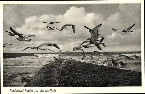 Ak Norderney in Ostfriesland, an der Mole