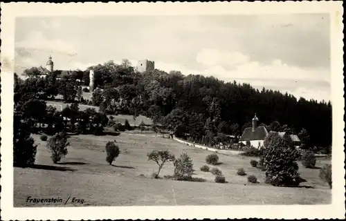 Ak Frauenstein im Erzgebirge, Partie im Feld, Burg, Kirchen, Wiese, Wald