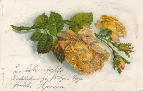 Perl Litho Gelbe Rosen, Rosenblüten