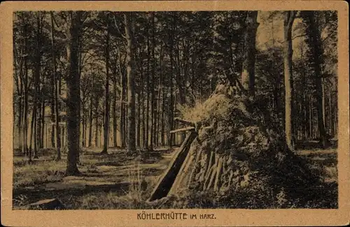 Ak Köhlerhütte im Harz, Wald