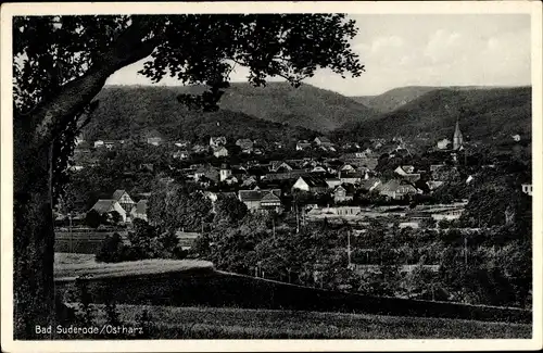 Ak Bad Suderode Quedlinburg im Harz, Panoramablick