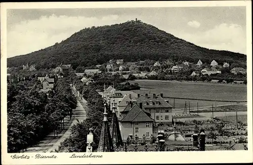 Ak Biesnitz Görlitz in der Lausitz, Landeskrone