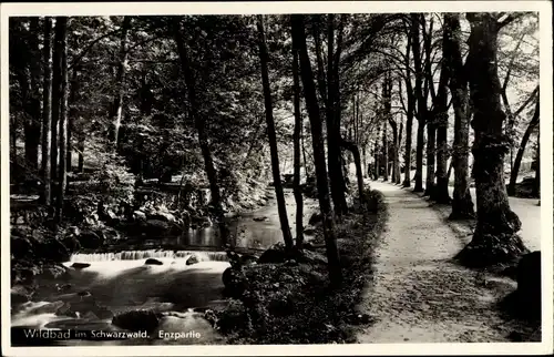 Ak Bad Wildbad Baden Württemberg, Enzpartie, Waldweg