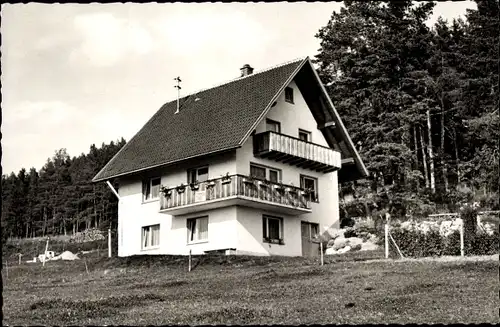 Ak Rothaus Grafenhausen in Baden-Württemberg, Haus Hugo Verini, Außenansicht, Waldrand