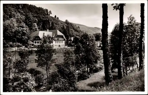 Ak Bad Rippoldsau Schapbach im Schwarzwald, Gasthof und Pension zum Ochsen  