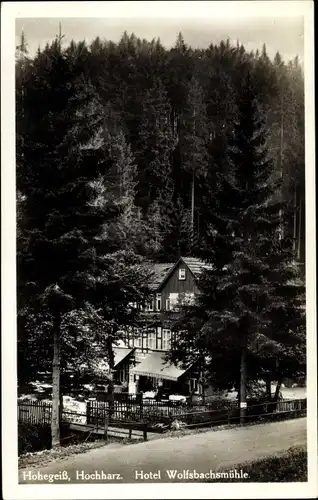 Ak Hohegeiß Braunlage im Oberharz, Hotel Wolfsbachmühle, Wald